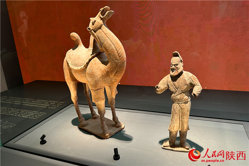 四方館展覽的出土文物。人民網(wǎng)記者 李志強攝